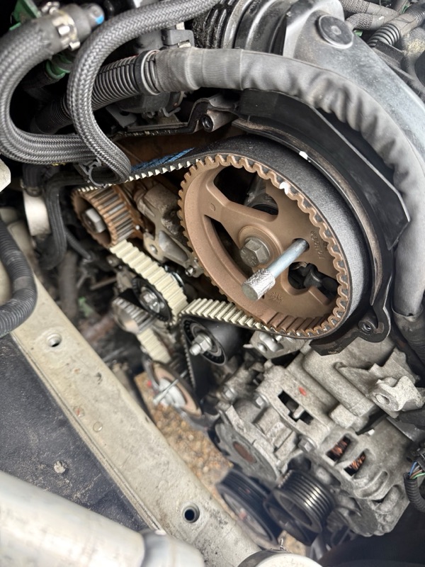 Timing belt replacement